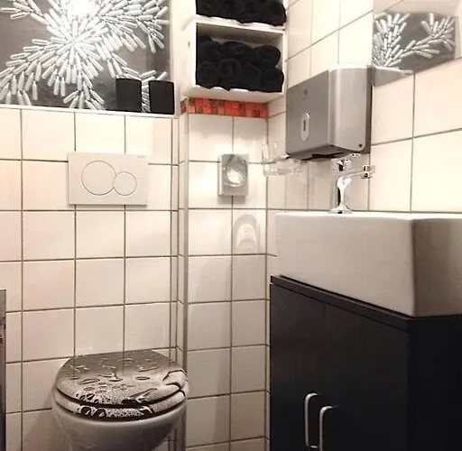 Vip Design M. Dachterrasse 公寓 德累斯顿